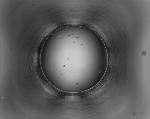X0000101470251200807141358