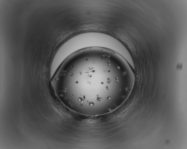 X0000101470255200807141358