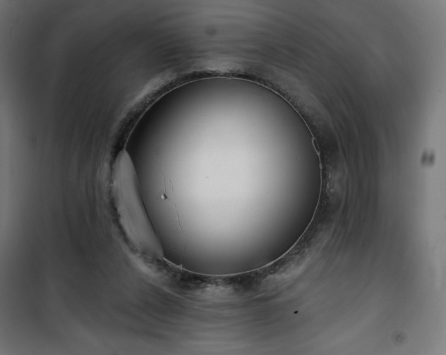 X0000101470256200807141358