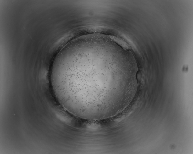 X0000101470258200807141358