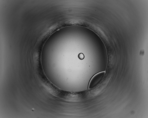 X0000101470260200807141358