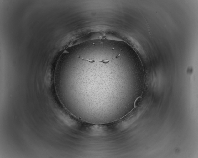 X0000101470261200807141358