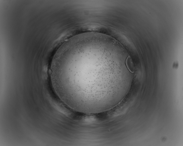 X0000101470262200807141358