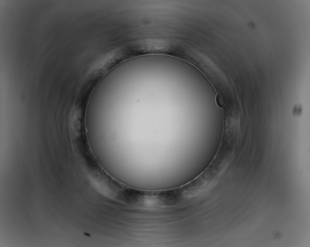 X0000101470264200807141358