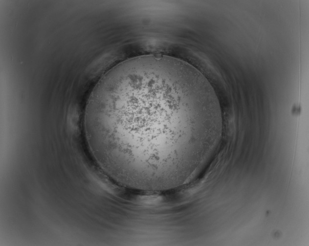 X0000101470266200807141358