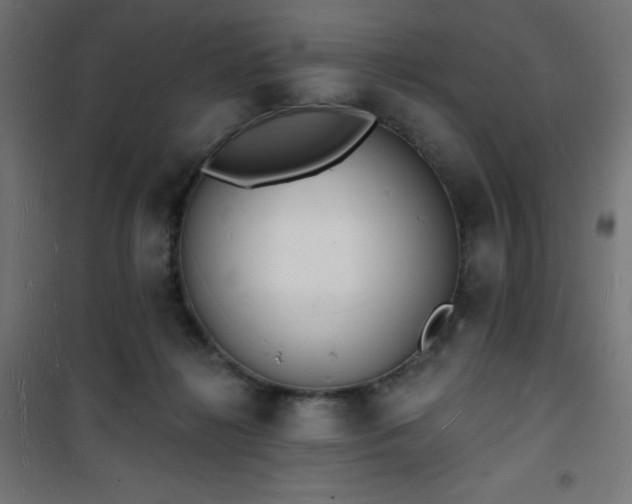 X0000101470268200807141358