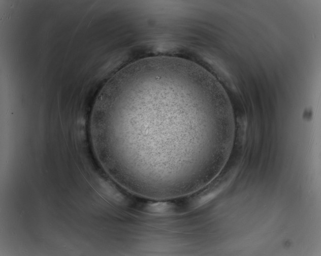 X0000101470269200807141358