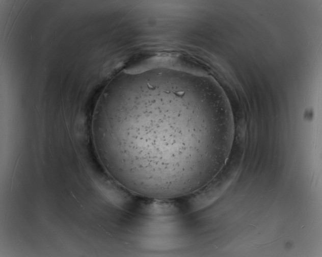 X0000101470270200807141358