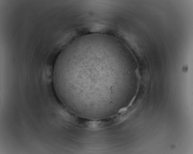 X0000101470273200807141358