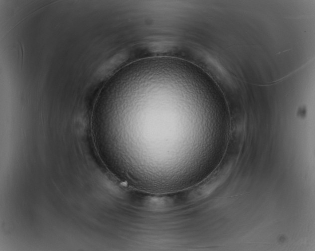 X0000101470277200807141358