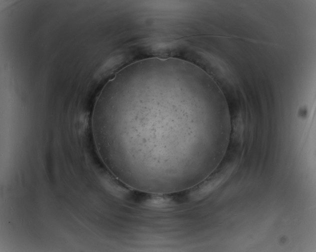 X0000101470278200807141358