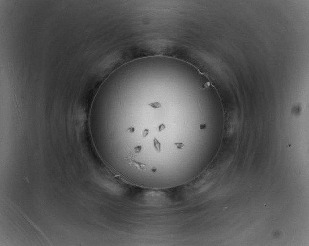 X0000101470279200807141358