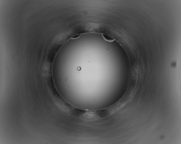 X0000101470280200807141358