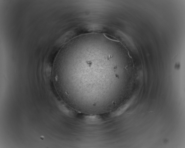 X0000101470281200807141358