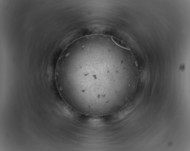 X0000101470283200807141358