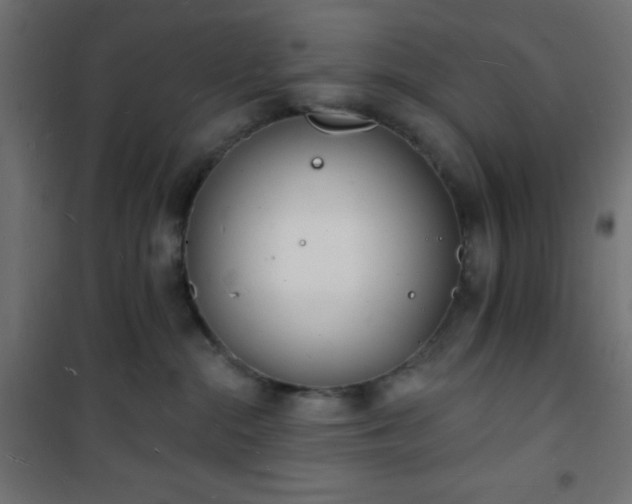 X0000101470284200807141358