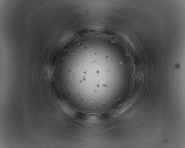 X0000101470285200807141358