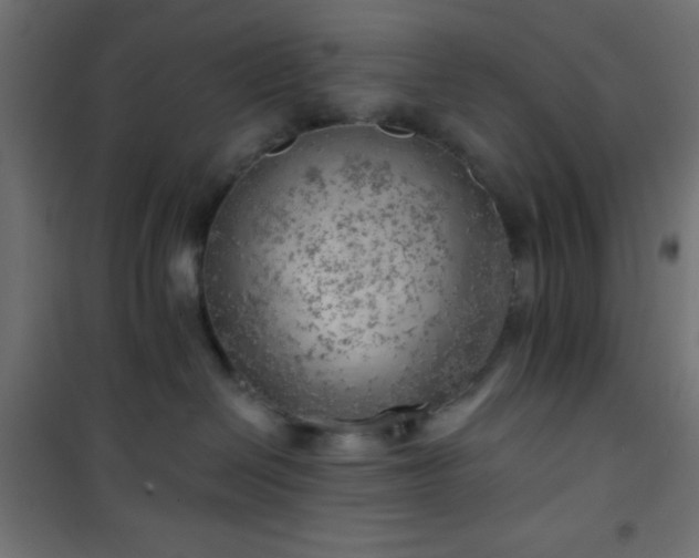 X0000101470286200807141358