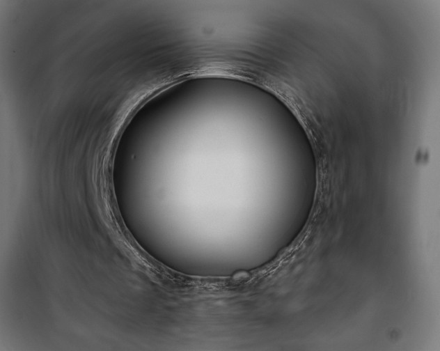 X0000101470289200807141357