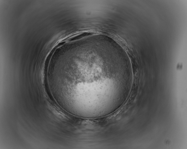 X0000101470290200807141357