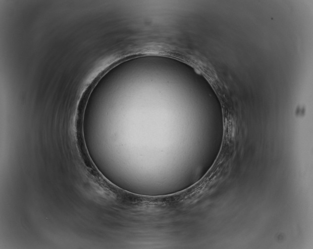 X0000101470292200807141357