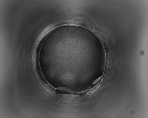 X0000101470295200807141357