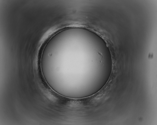 X0000101470296200807141357