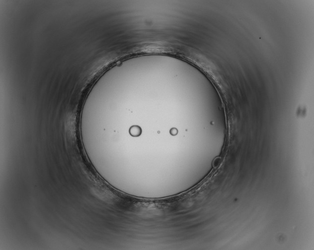 X0000101470297200807141357