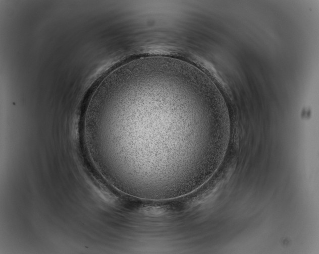 X0000101470299200807141357