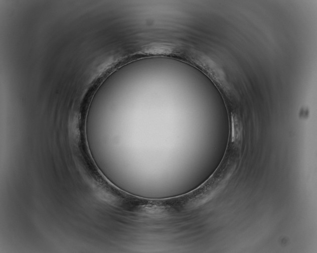 X0000101470300200807141357