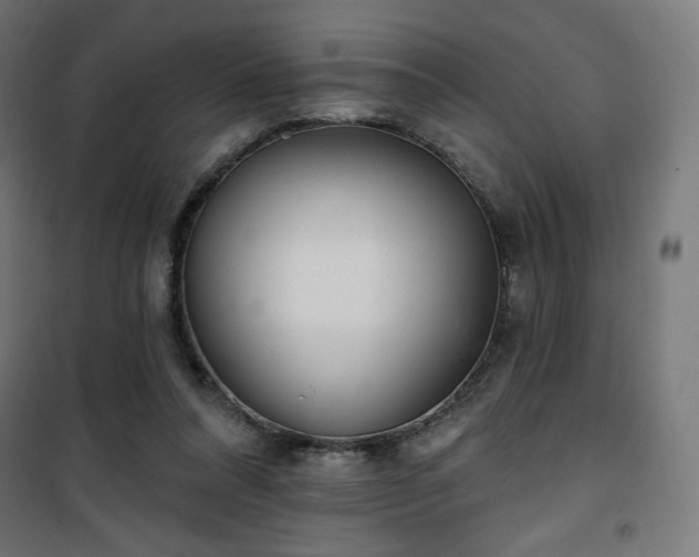 X0000101470304200807141357