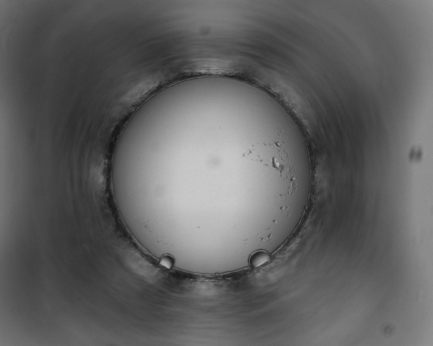 X0000101470305200807141357