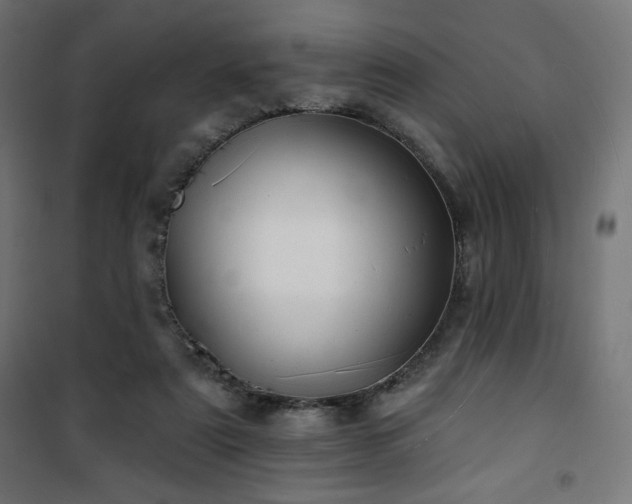 X0000101470307200807141357