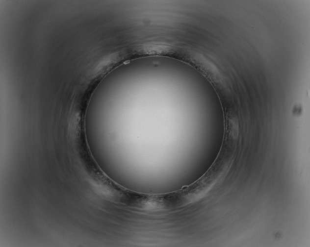 X0000101470308200807141357