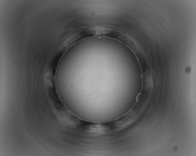 X0000101470316200807141357