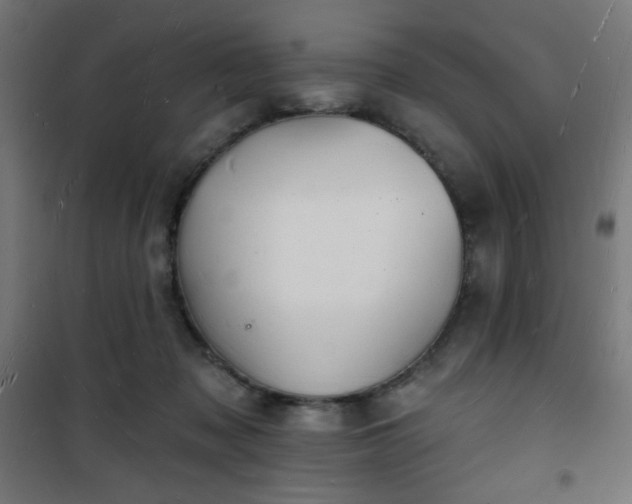 X0000101470317200807141357