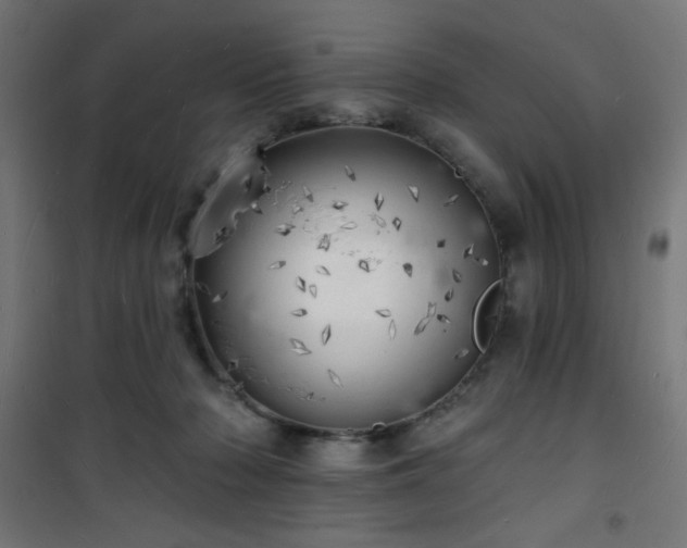 X0000101470318200807141357