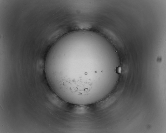 X0000101470321200807141357