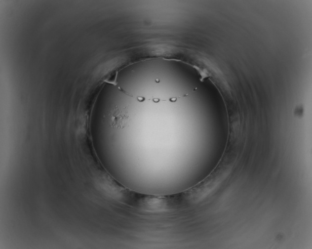 X0000101470325200807141357