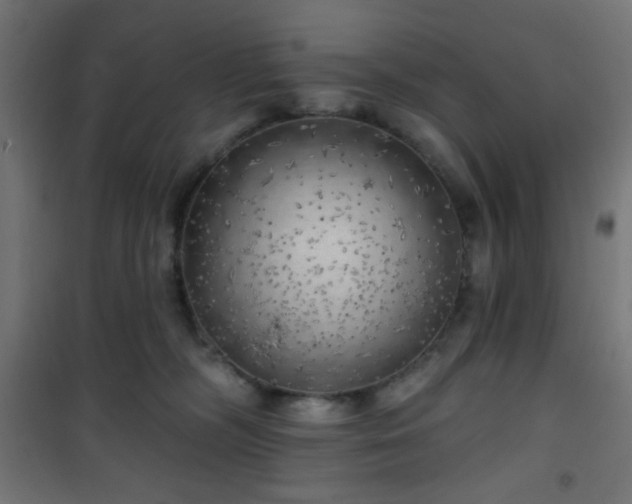 X0000101470326200807141357