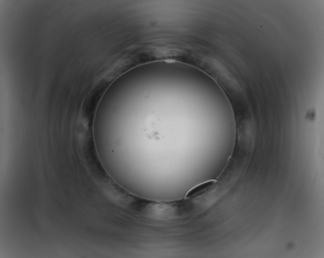 X0000101470327200807141357