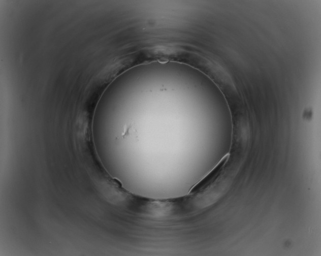 X0000101470328200807141357