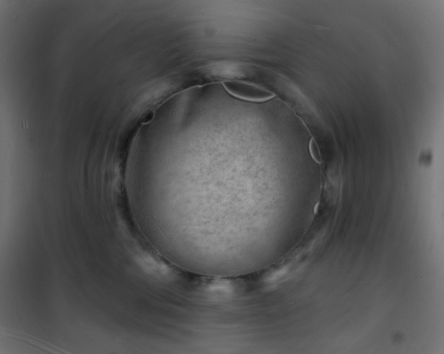 X0000101470330200807141357