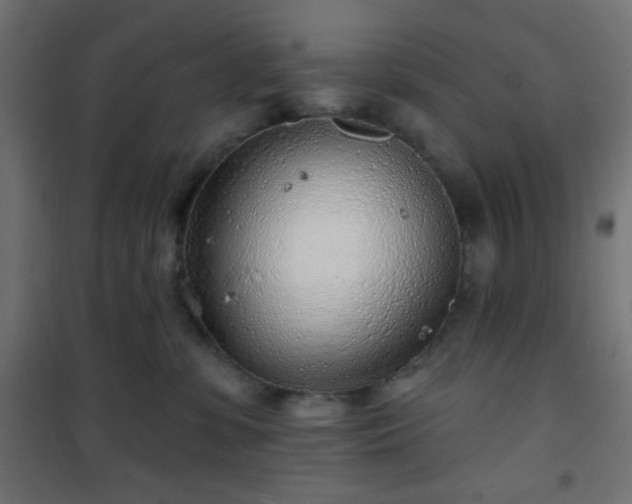 X0000101470331200807141356