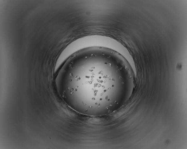 X0000101470332200807141356