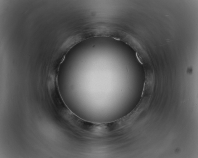 X0000101470333200807141356