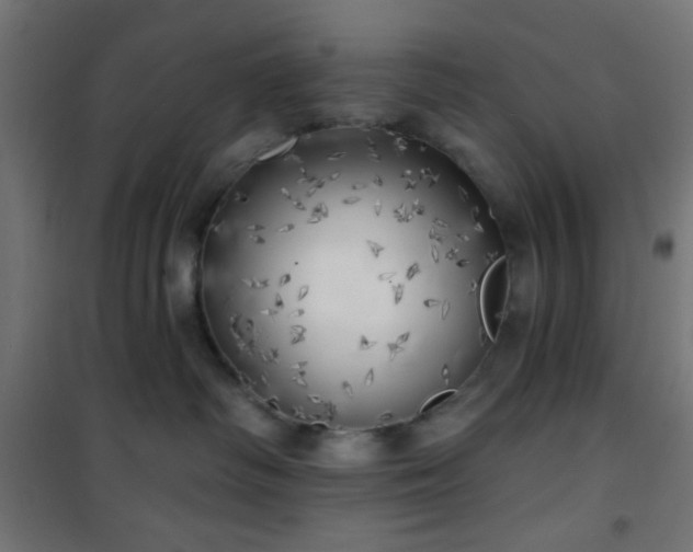X0000101470334200807141356