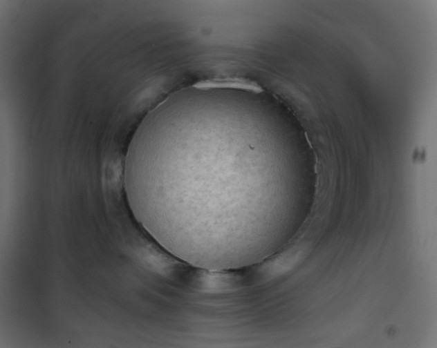 X0000101470336200807141356