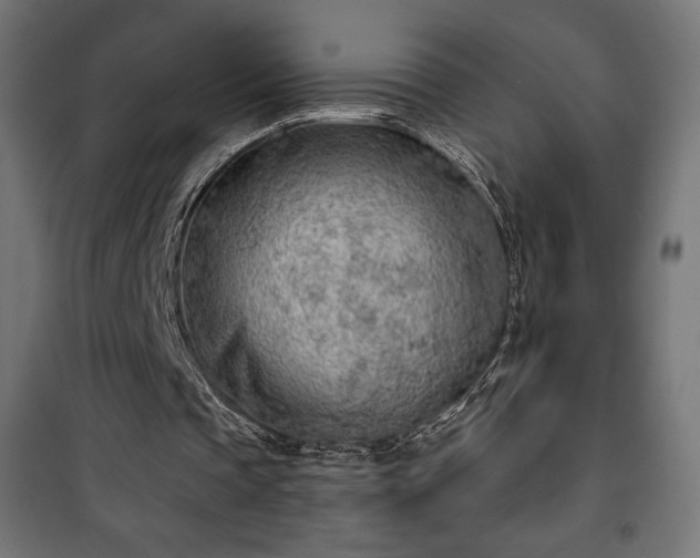 X0000101470337200807141356