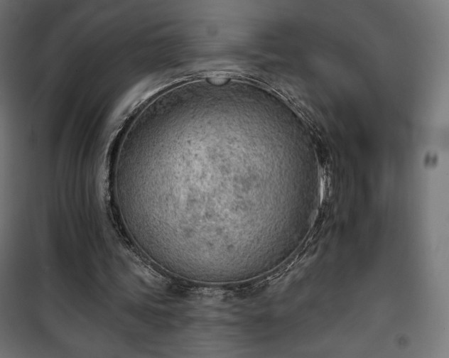 X0000101470339200807141356